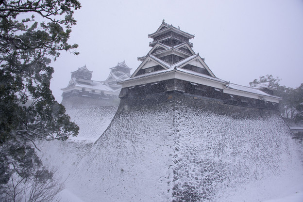 写真: 雪の熊本城