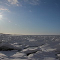 写真: 流氷の海