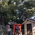写真: 10月_尾崎熊野神社 2