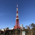写真: 12月_東京タワー 3