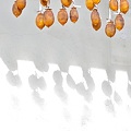 写真: 吊るし柿。