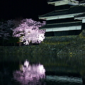 水面に映る桜とお城
