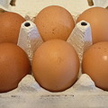 写真: 卵かけごはん