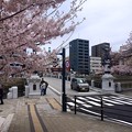 写真: 猿猴橋 南詰 広島市南区的場町1丁目 2016年4月5日