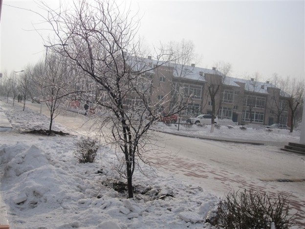 写真: 龍外学院冬景色