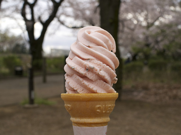 写真: 桜ソフト