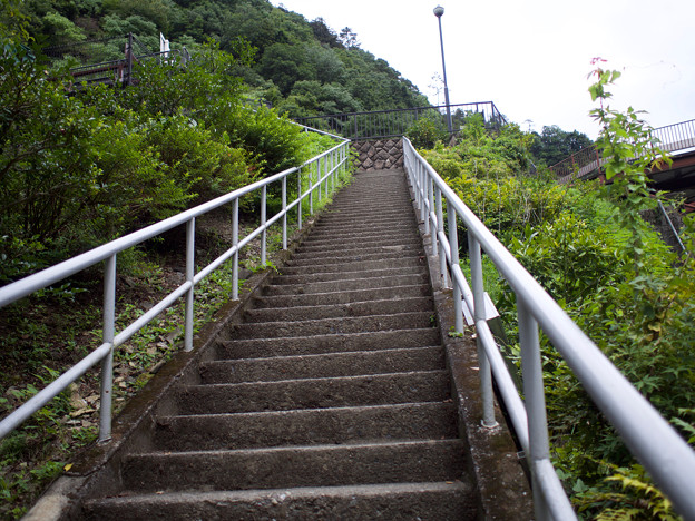 魚道への登り階段
