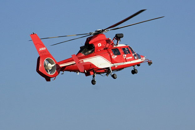 写真: JA08AR 名古屋市消防航空隊 ひでよし エアバス・ヘリコプターズ AS365N3 Dauphin 2  IMG_8246_2