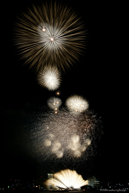 写真: Firework