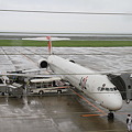 JAL　MD-90-30