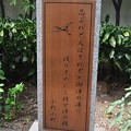 写真: つるのはし跡碑 (3)・小野小町歌碑