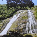 写真: 屋久島 (4)・大川の滝