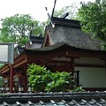 写真: 率川神社 (1)