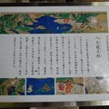 石山寺・八大龍王社 (2)