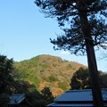 写真: 海住山寺境内から向かいの山を望む