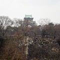 写真: 大阪城 (1)