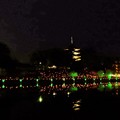 写真: 奈良燈花会 (2)・猿沢池