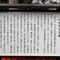 11片埜神社 (4)