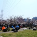 写真: 前日の風景・花園中央公園・桜広場 (1)