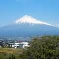 写真: 富士山 (1)