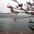 写真: 10日向湖 (1)