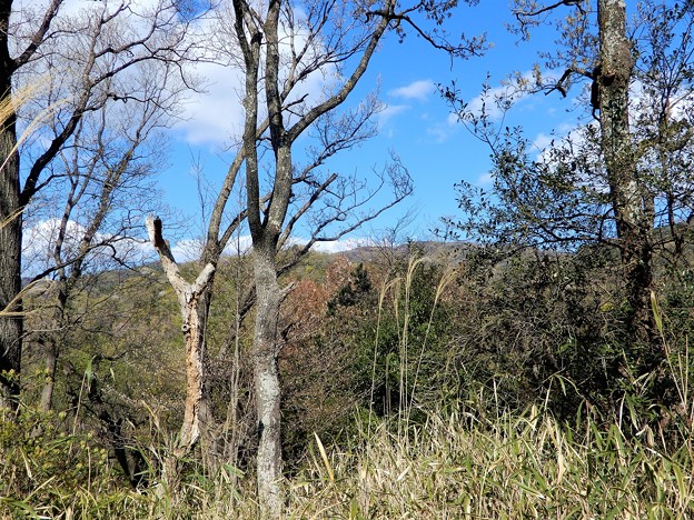 神津嶽下、腰掛石から生駒山を望む (1)