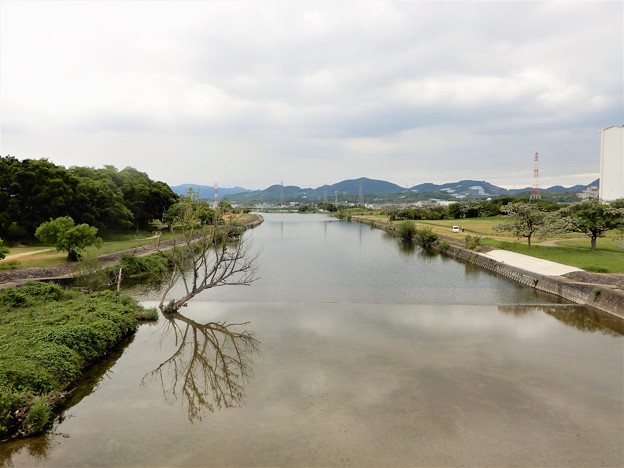 石川サイクル橋から下流を望む