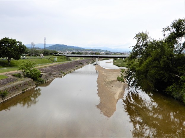 石川サイクル橋から上流を望む