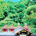 写真: 枚岡神社・平成令和の大造営記念 (7)