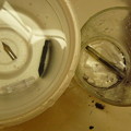 写真: カクノ透明軸の分解洗浄３