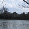 写真: 池と寺