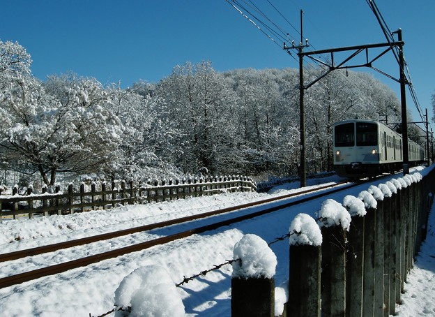 写真: 雪のホワイト列車