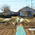 写真: 菜園・道具小屋撤去完了