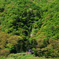 写真: 最上川の白糸の滝