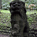 1408玉簾の滝御獄神社の狛犬