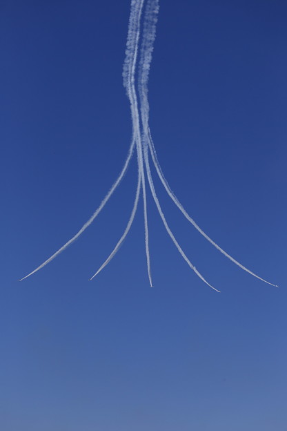 写真: 2015築城基地航空祭 ブルーインパルス