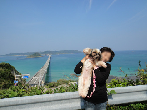 写真: 角島さくらと記念撮影2