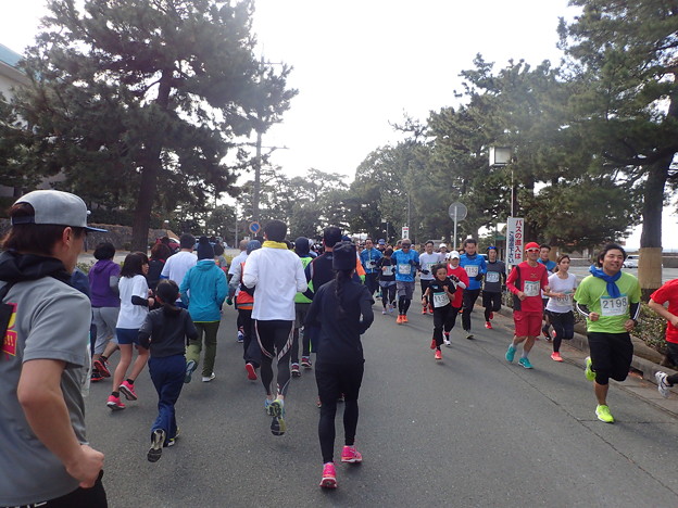 写真: 三河湾健康マラソン (6)