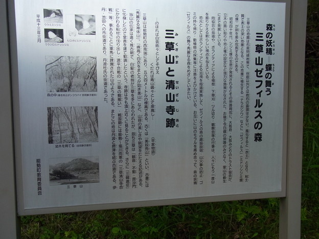 三草山ゼフィルスの森 (3)