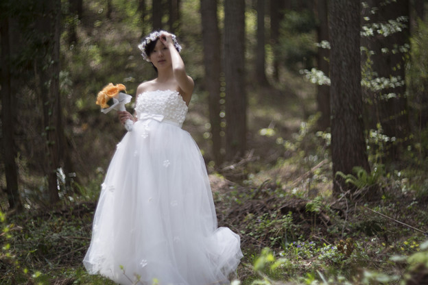 森の中の花嫁