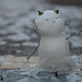 写真: 雪猫だるま