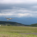 写真: グライダー離陸