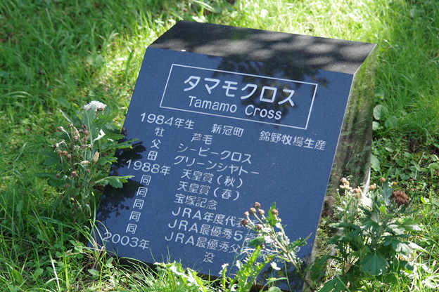 タマモクロスの墓碑
