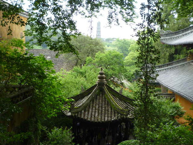 国清寺から隋塔遠望 Tall Pagoda through the trees