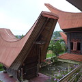 舟形屋根の向こうは田んぼ、ﾀﾅ･ﾄﾗｼﾞｬTongkonan：Traditional House
