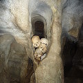 写真: 洞窟墳墓の頭蓋骨　タナ・トラジャのロンダ Skulls in cave 　　洞窟の岩の隙間に挟まれし髑髏にわれは睨まれにけり