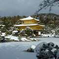 雪の金閣寺　思い出は飢餓の如く　Snow covered Kinkau-ji　＊寄り添いて花の写真を撮りし木の揺りこぼす雪頬を濡らしつ