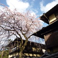 写真: ＊さまざまの事おもひ出す桜かな （清水産寧坂）　　　　　　　　　Cerry blossom at Sannenzaka,Kyoto