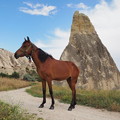 Photos: 馬の耳東風（あいのかぜ）吹く谷の径 Chimney rock & Horse