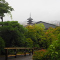 料亭の庭から見た八坂の塔　Yasaka Pagoda from the garden